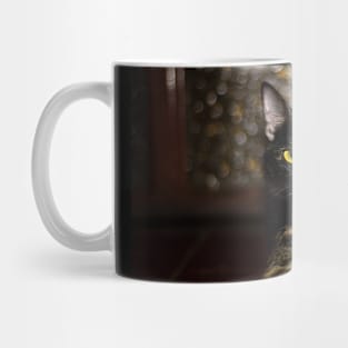 carey cat Mug